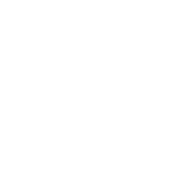 Swamp Records Logo