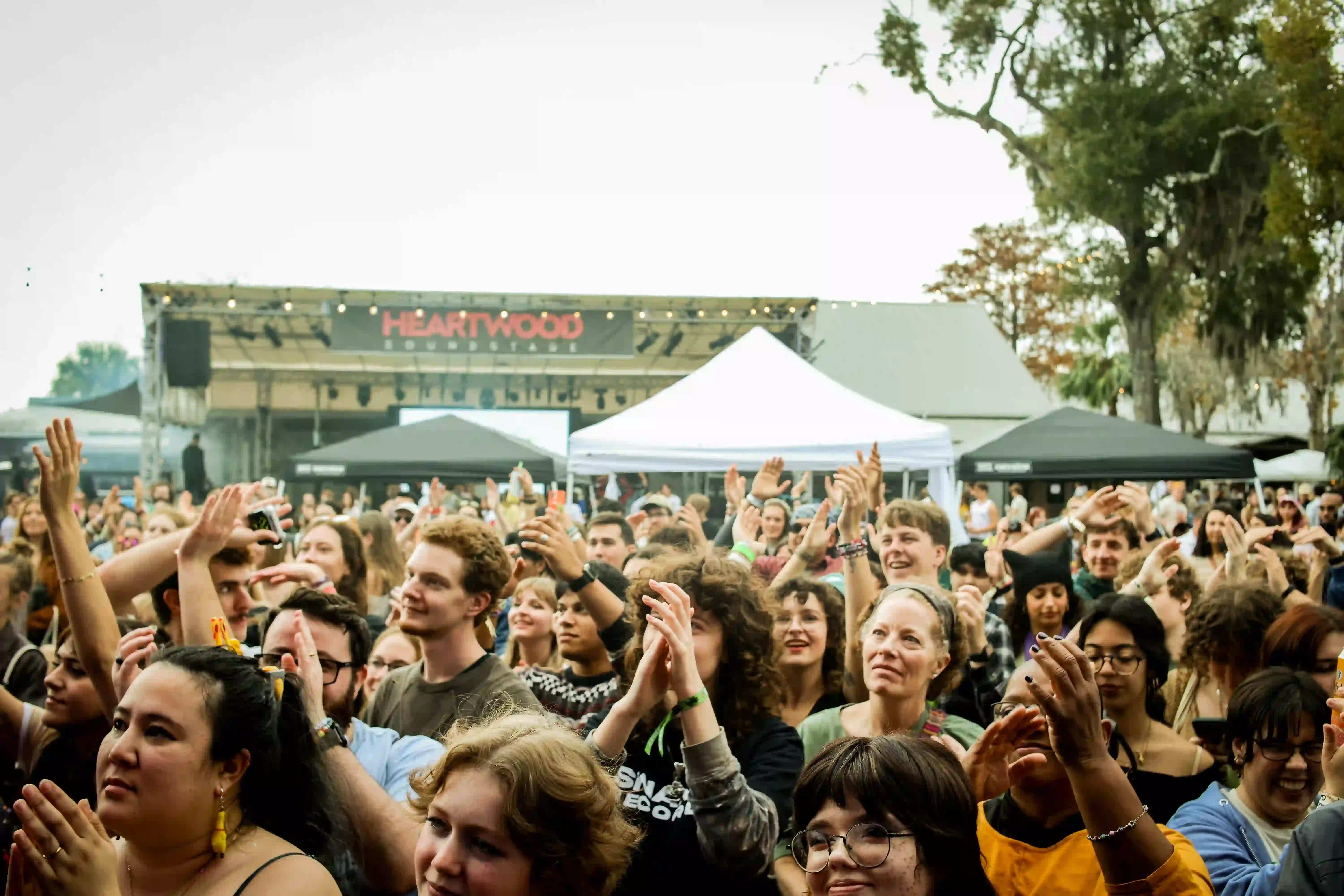 Crowd at concert